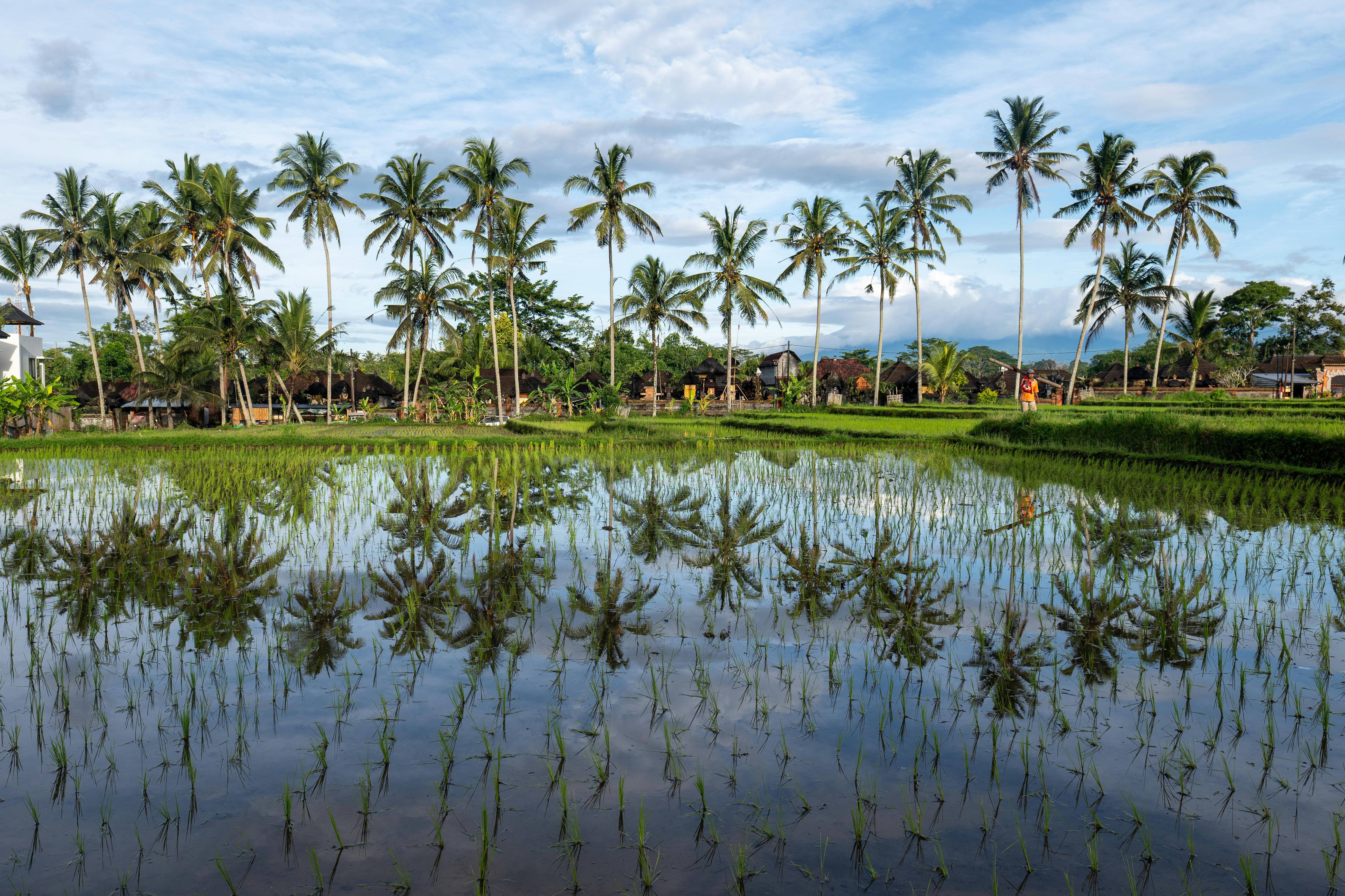 Ubud